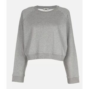 Acne Studios Grey Hobie Crop Sweatshirt with Silk Back Sz. S